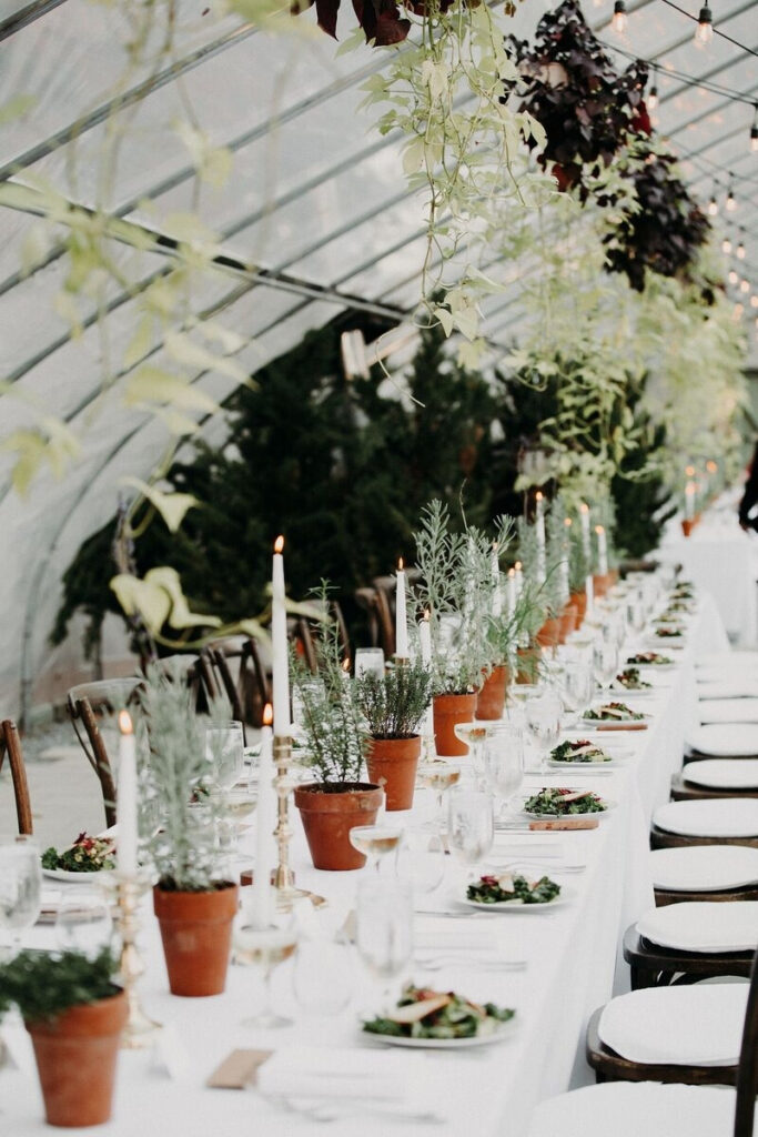 Long reception table styled with terracotta potted herbs, taper candles, and greenery overhead, set inside a glass greenhouse for an intimate and organic wedding dinner.