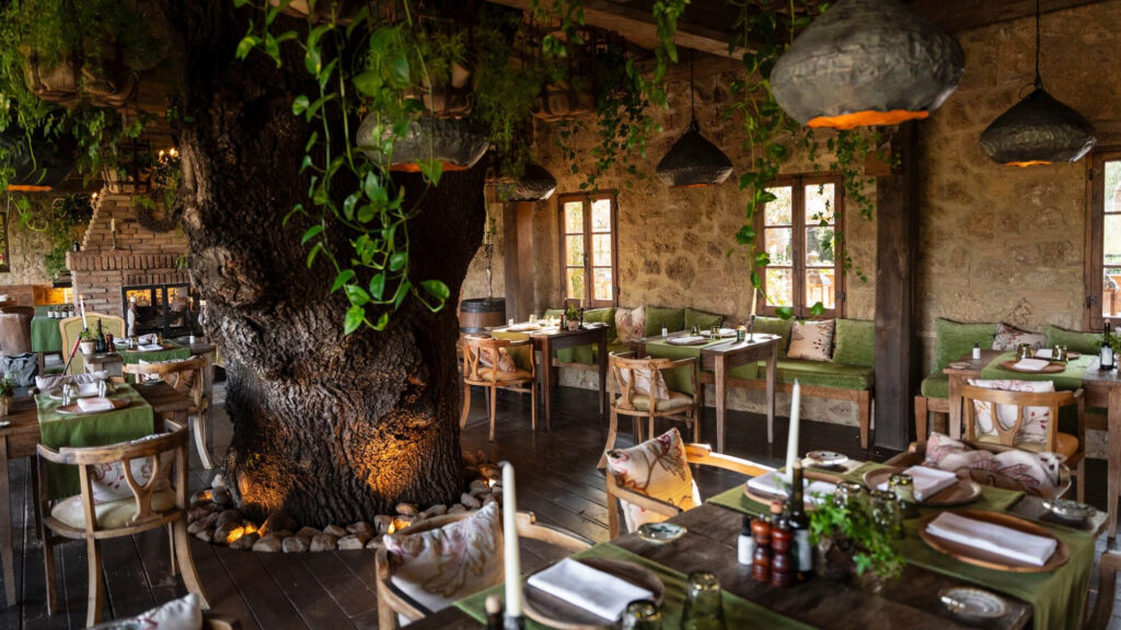 Rustic indoor dining space at one of the villas in Italy, featuring a large tree growing through the floor, wooden furniture, hanging greenery, and warm ambient lighting.